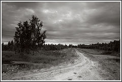 фото "Летний вечер"