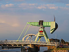 фото "The Grasshopper"