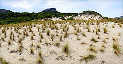 photo "Dunes..."