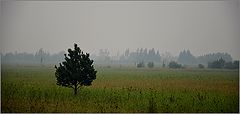 photo "***"