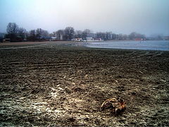 photo "Dead Place"