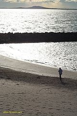 фото "alone on the beach"