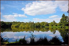 photo "domain Bokrijk ponds"