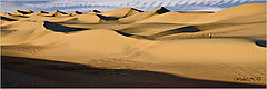 photo "Amidst the Dunes"
