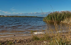 фото "У реки..."