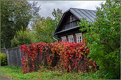 photo "***"