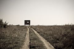 photo "***"