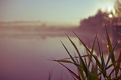 photo "***"