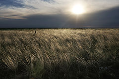 photo "Time of Troubles"