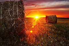 photo "At sunset"