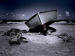фото "End of the day"