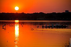 фото "White Rock Lake"
