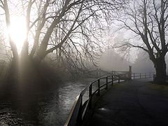 photo "Fog"