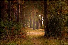 photo "Autumn begins"