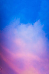 photo "***"