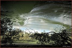 photo "***"