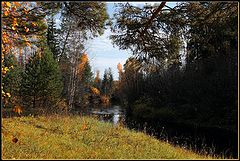 фото "На осенней полянке"