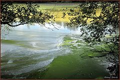 photo "***"