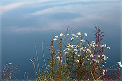 photo "***"