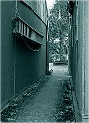 photo "***"