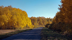 photo "***"
