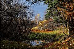 фото "Осенние зарисовки"