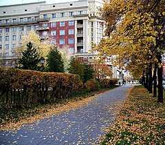 фото "Городская "метель""