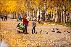 photo "***"