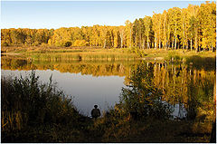 photo "***"