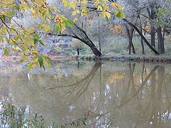 photo "***"