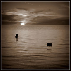 photo "***"