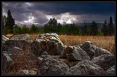 фото "После грозы"