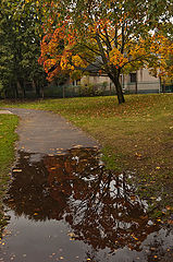 фото "Осенняя..."