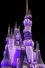 photo "cinderella's castle"