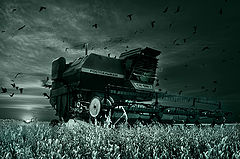 photo "The Reaping"