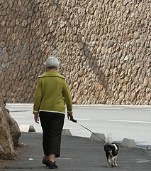 фото "a good walk"