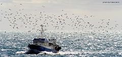фото "sea"