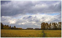 photo "***"