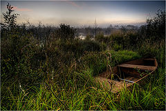 photo "Boat, grass"