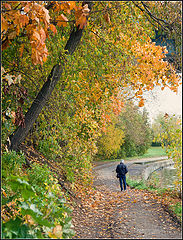 photo "leaving fall"