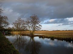 фото "Along the canal"