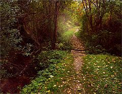 photo "Broken bridge"