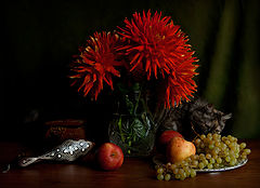 photo "A cat and grapes"