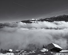 photo "***"