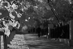 photo "***"
