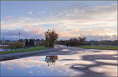 photo "morning after the rain"