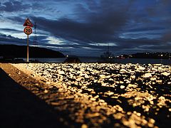 фото "***"