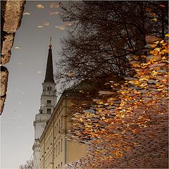 photo "Reflex"