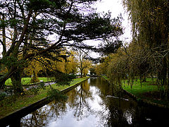 фото "Autumn in the Park"