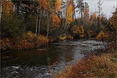 фото "Осенние зарисовки #3"